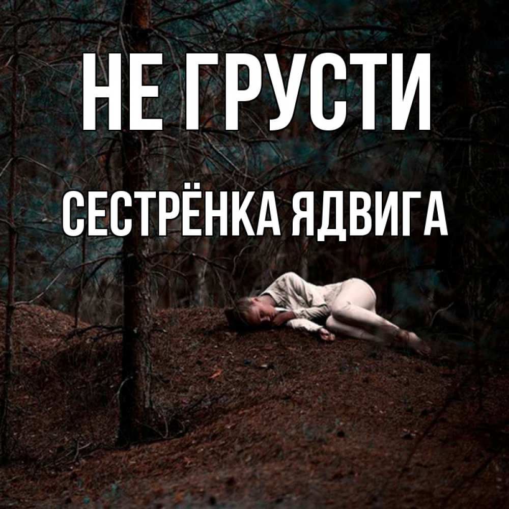 Открытка на каждый день с именем, Сестрёнка-Ядвига Не грусти лес Прикольная открытка с пожеланием онлайн скачать бесплатно 