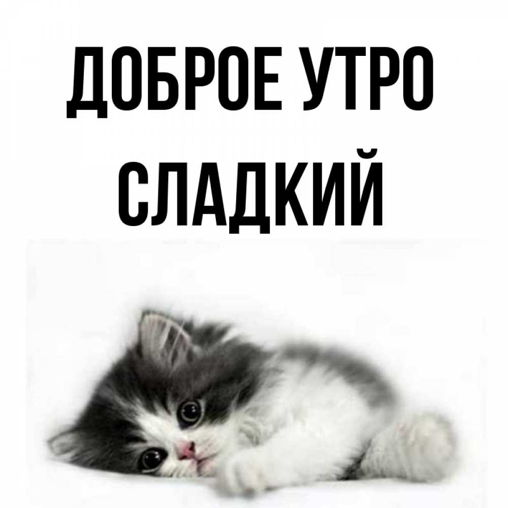 Открытка на каждый день с именем, Сладкий Доброе утро кот лапки Прикольная открытка с пожеланием онлайн скачать бесплатно 