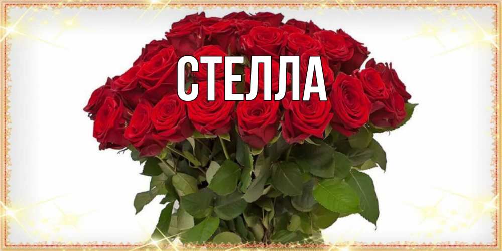 Открытка на каждый день с именем, Стелла Главная поздравляю с наурызом Прикольная открытка с пожеланием онлайн скачать бесплатно 