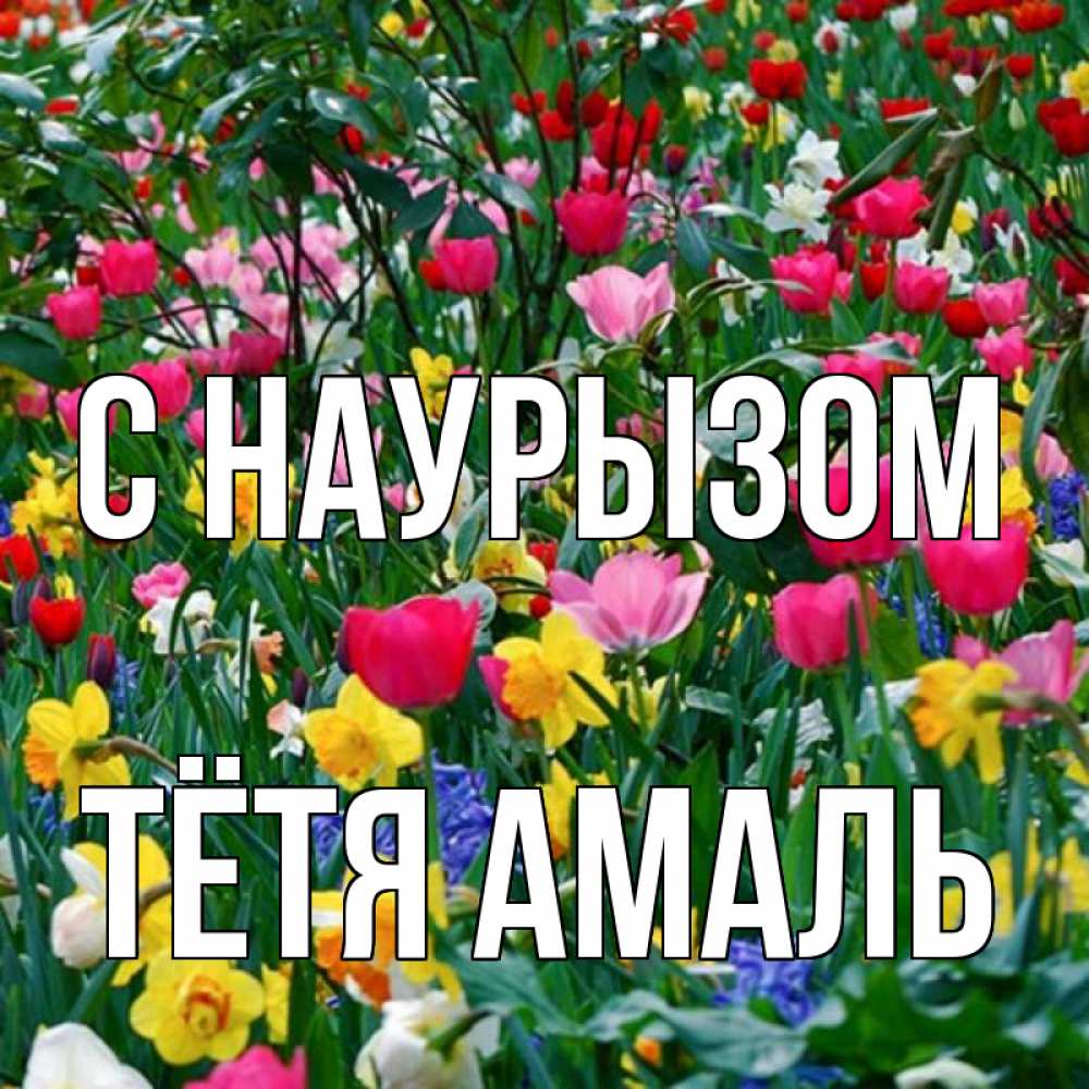 Открытка на каждый день с именем, Тётя-Амаль С наурызом с наурызом праздником весны поздравления для женщины Прикольная открытка с пожеланием онлайн скачать бесплатно 