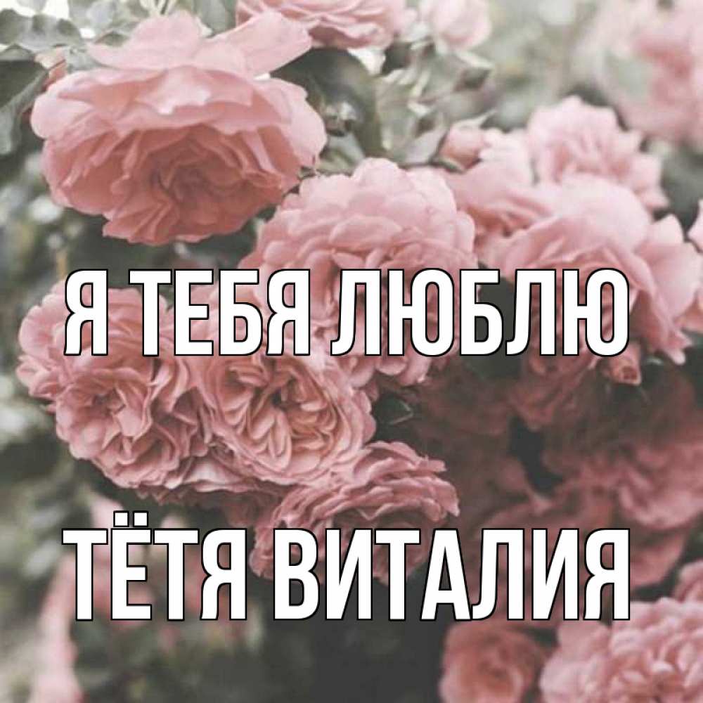 Открытка на каждый день с именем, Тётя-Виталия Я тебя люблю розы 3 Прикольная открытка с пожеланием онлайн скачать бесплатно 