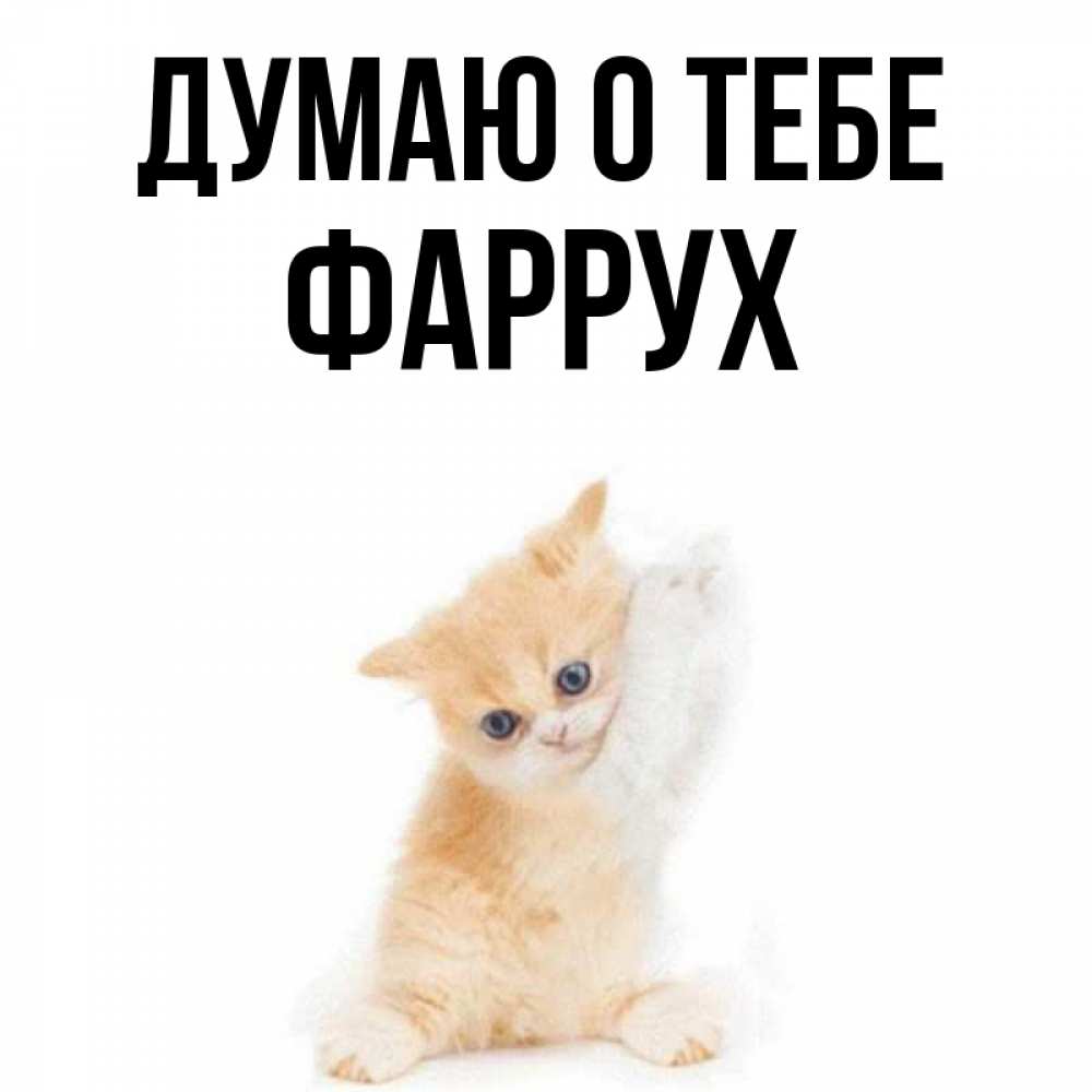 Картинка Думаю о тебе, Фаррух