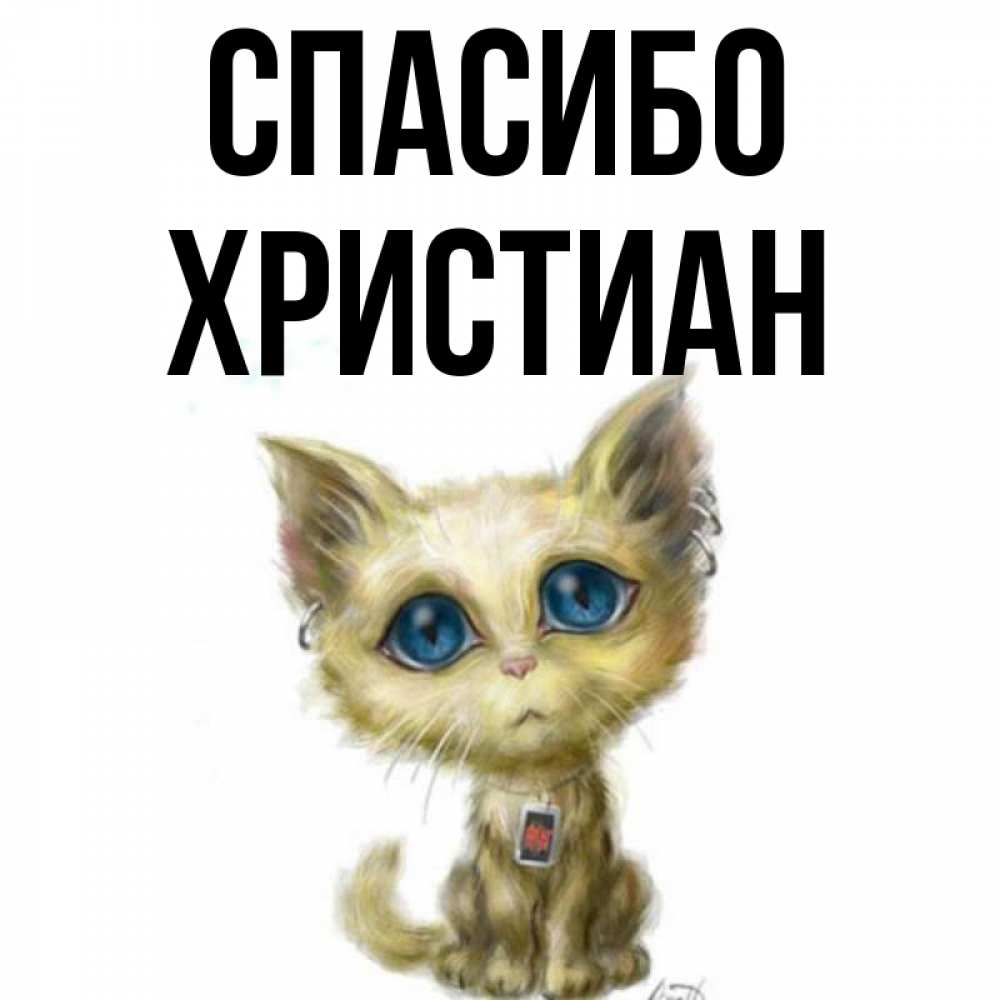 Открытка на каждый день с именем, Христиан Спасибо рисованный кот благодарит вас Прикольная открытка с пожеланием онлайн скачать бесплатно 