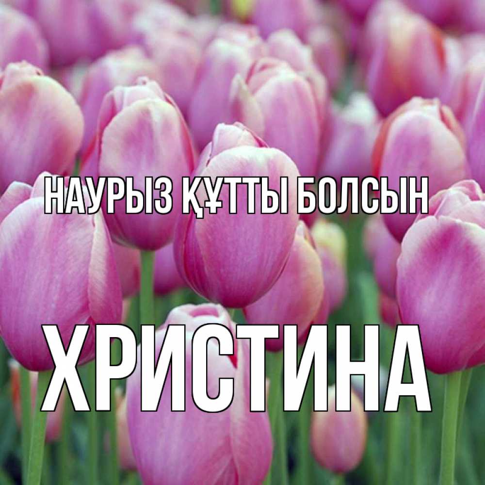 Открытка на каждый день с именем, Христина Наурыз құтты болсын на наурыз  день 3 Прикольная открытка с пожеланием онлайн скачать бесплатно 
