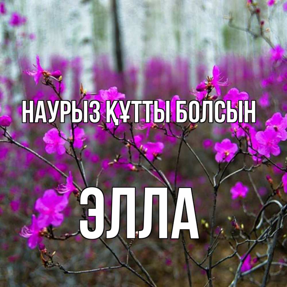 Открытка на каждый день с именем, Элла Наурыз құтты болсын дикие цветы Прикольная открытка с пожеланием онлайн скачать бесплатно 