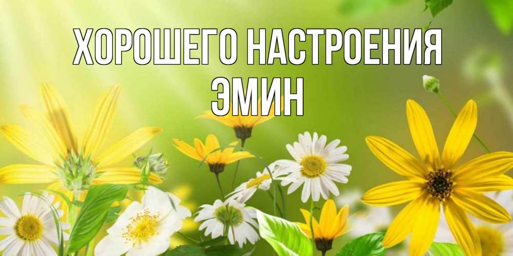 Открытка на каждый день с именем, Эмин Хорошего настроения цветы Прикольная открытка с пожеланием онлайн скачать бесплатно 
