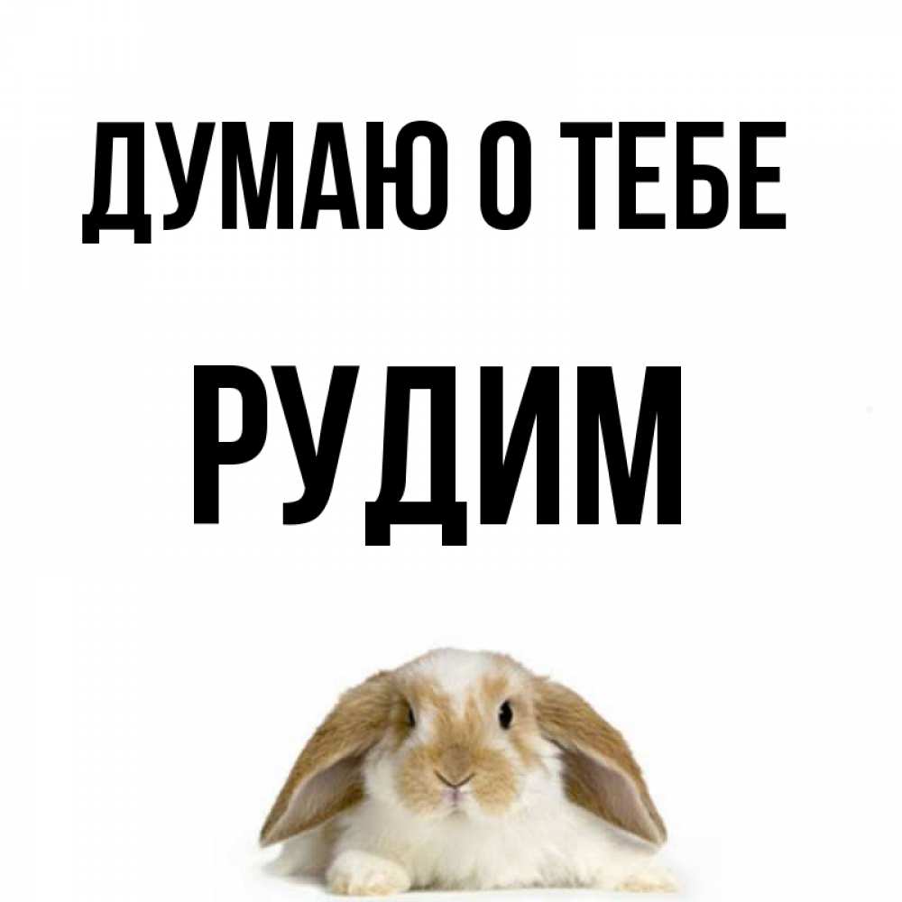 Рудим