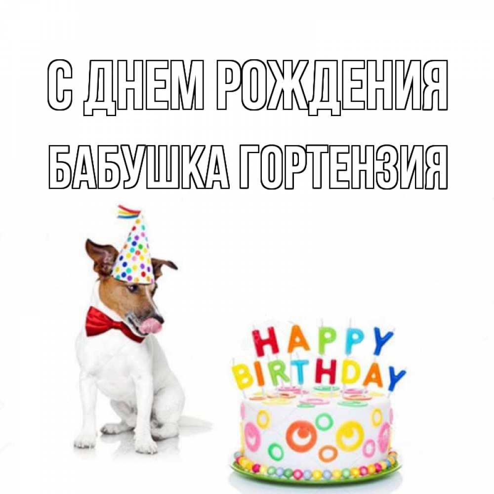 Открытка на каждый день с именем, Бабушка-Гортензия С днем рождения праздник Прикольная открытка с пожеланием онлайн скачать бесплатно 