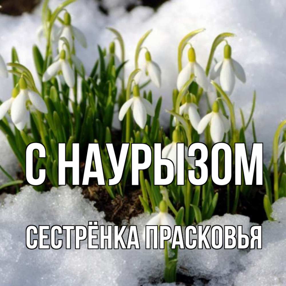 Открытка на каждый день с именем, Сестрёнка-Прасковья С наурызом цветы весенние Прикольная открытка с пожеланием онлайн скачать бесплатно 