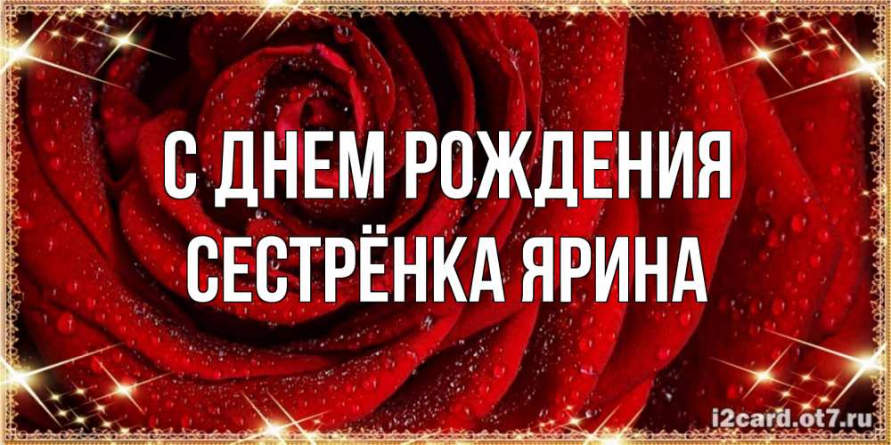 Открытка на каждый день с именем, Сестрёнка-Ярина С днем рождения роса на розе блестящая в лучах солнца Прикольная открытка с пожеланием онлайн скачать бесплатно 