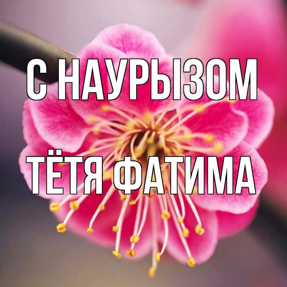 Открытка на каждый день с именем, Тётя-Фатима С наурызом цветы Прикольная открытка с пожеланием онлайн скачать бесплатно 