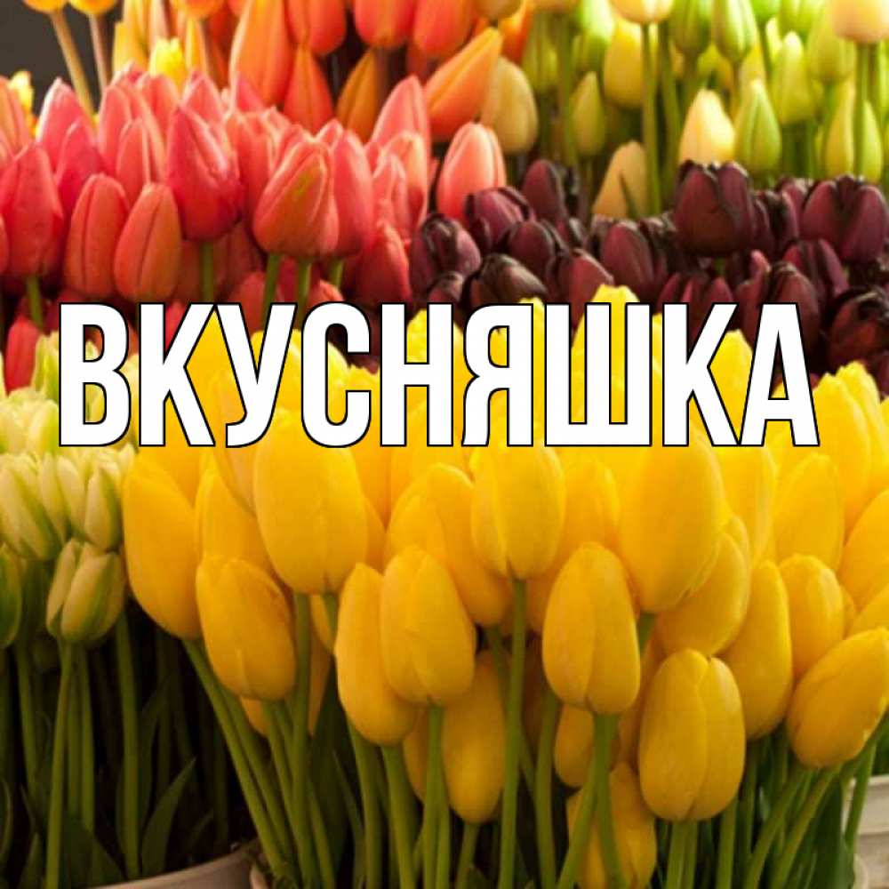 Открытка на каждый день с именем, Вкусняшка Главная цветы Прикольная открытка с пожеланием онлайн скачать бесплатно 