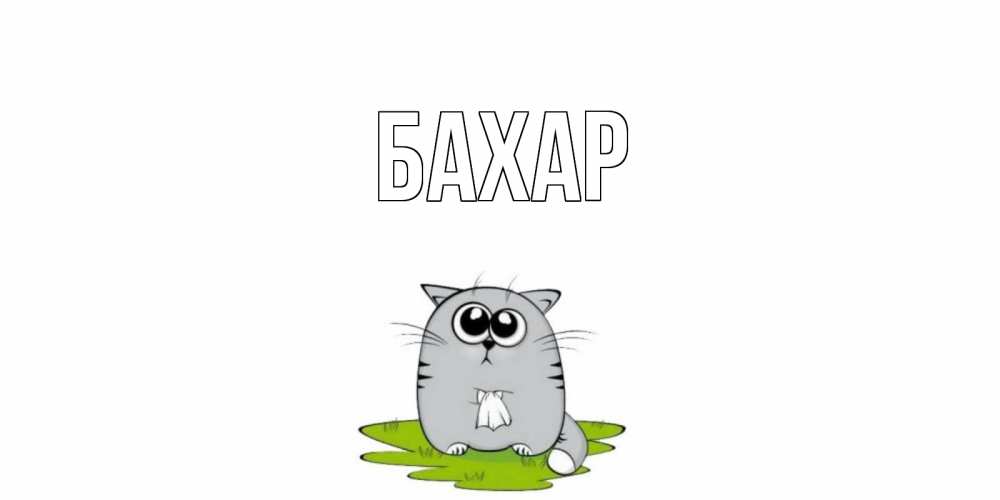 Открытка на каждый день с именем, Бахар Главная кот и открытки про выздоровление Прикольная открытка с пожеланием онлайн скачать бесплатно 