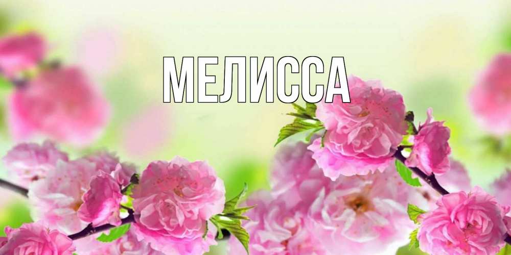 Картинка  с именем , Мелисса