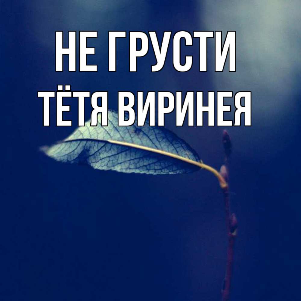 Открытка на каждый день с именем, Тётя-Виринея Не грусти растение Прикольная открытка с пожеланием онлайн скачать бесплатно 