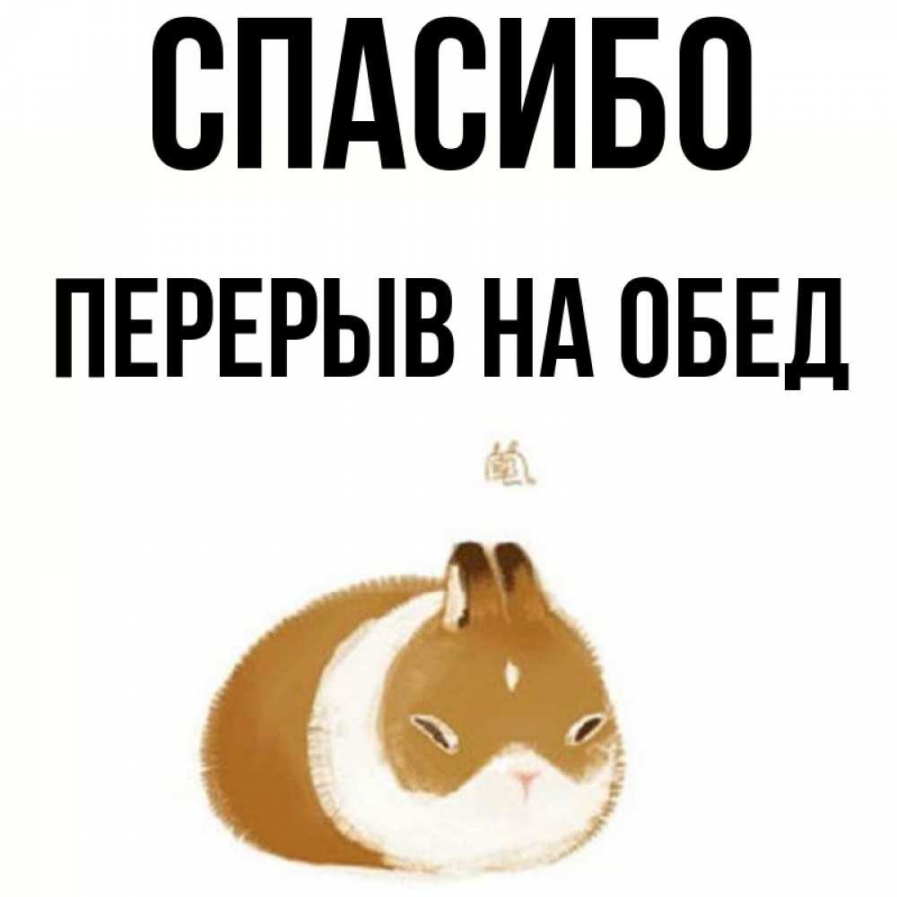 Спасибо за обед картинки