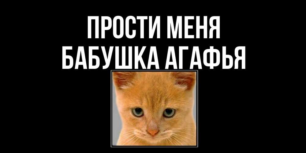Открытка на каждый день с именем, Бабушка-Агафья Прости меня рыжий грустный кот просит прощения Прикольная открытка с пожеланием онлайн скачать бесплатно 