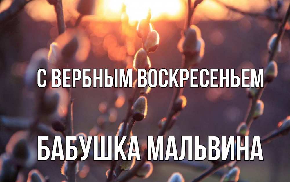 Открытка на каждый день с именем, Бабушка-Мальвина С вербным воскресеньем верба Прикольная открытка с пожеланием онлайн скачать бесплатно 