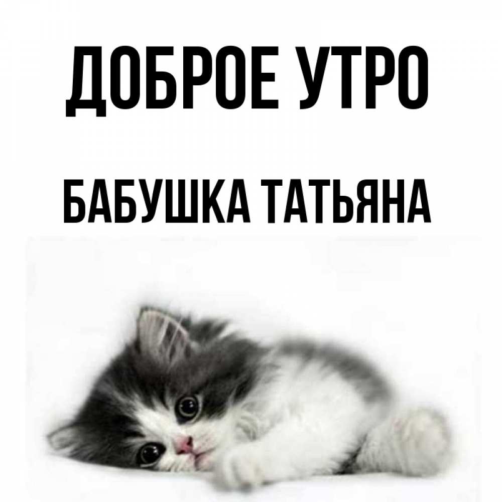 Открытка на каждый день с именем, Бабушка-Татьяна Доброе утро кот лапки Прикольная открытка с пожеланием онлайн скачать бесплатно 