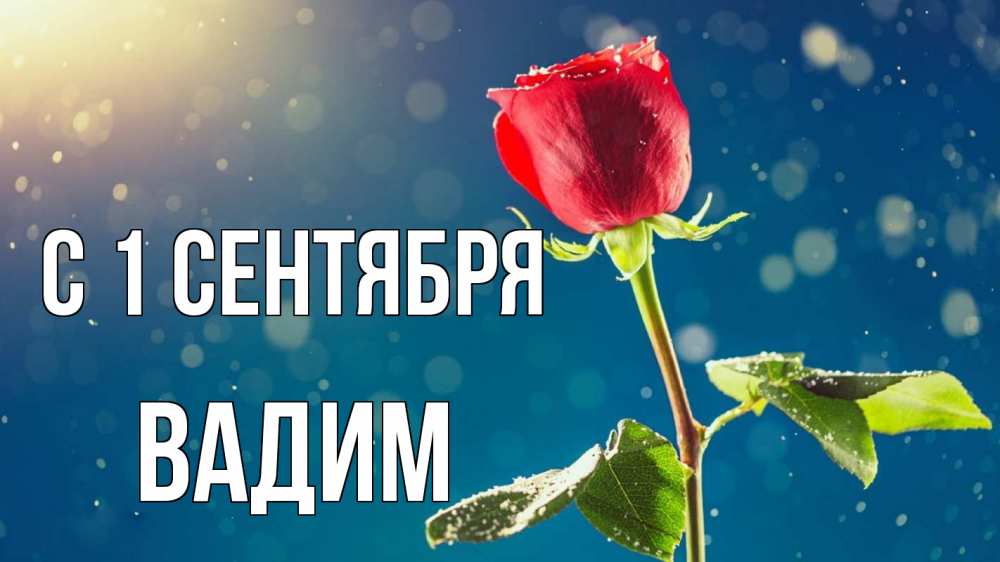 Открытка на каждый день с именем, Вадим С 1 сентября с днем знаний Прикольная открытка с пожеланием онлайн скачать бесплатно 