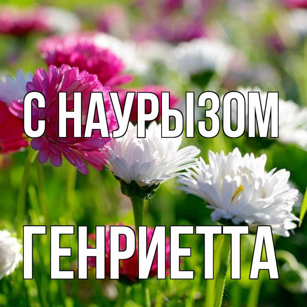 Открытка на каждый день с именем, Генриетта С наурызом праздник весны наурыз красота Прикольная открытка с пожеланием онлайн скачать бесплатно 