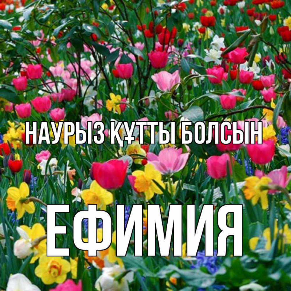 Открытка на каждый день с именем, Ефимия Наурыз құтты болсын с наурызом поздравления для женщины Прикольная открытка с пожеланием онлайн скачать бесплатно 