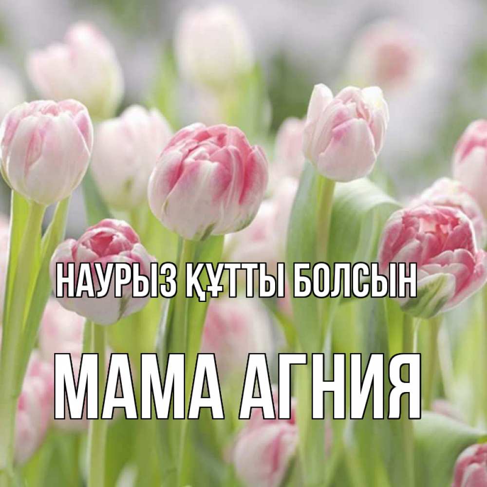 Открытка на каждый день с именем, Мама-Агния Наурыз құтты болсын цветы Прикольная открытка с пожеланием онлайн скачать бесплатно 