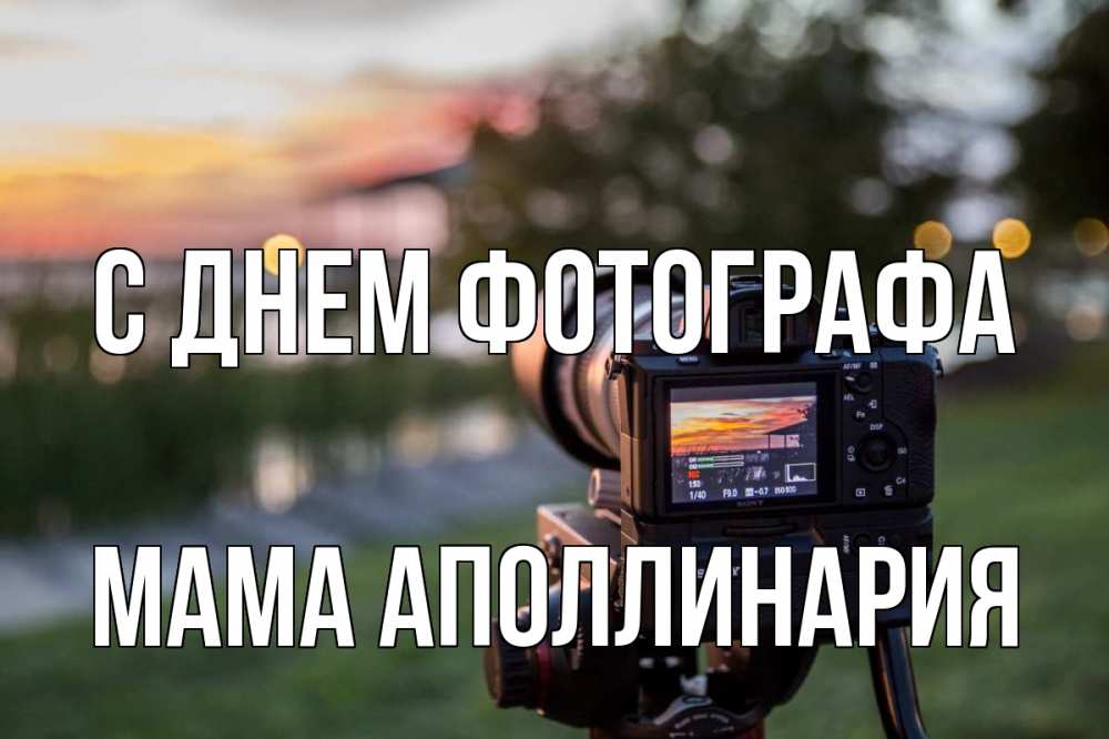 Открытка на каждый день с именем, Мама-Аполлинария С днем фотографа с днем фотографа Прикольная открытка с пожеланием онлайн скачать бесплатно 