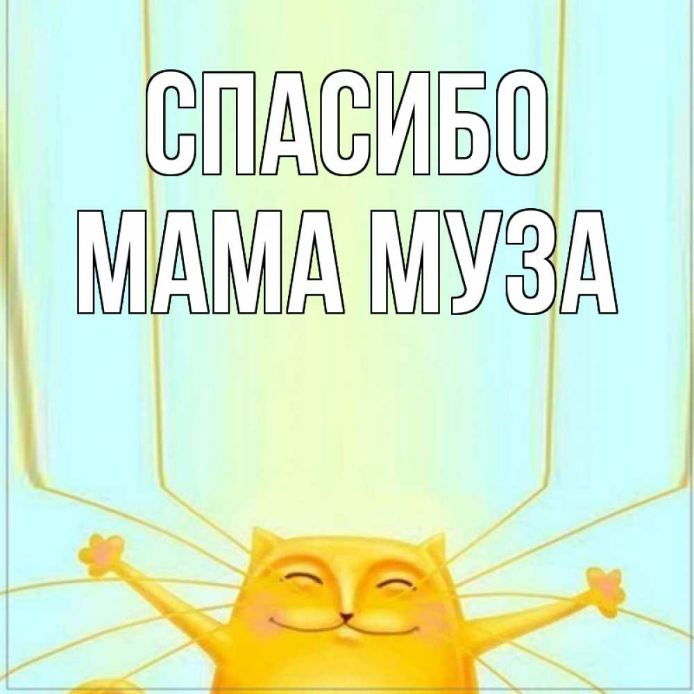 Открытка на каждый день с именем, Мама-Муза Спасибо кот с усами благодарит Прикольная открытка с пожеланием онлайн скачать бесплатно 