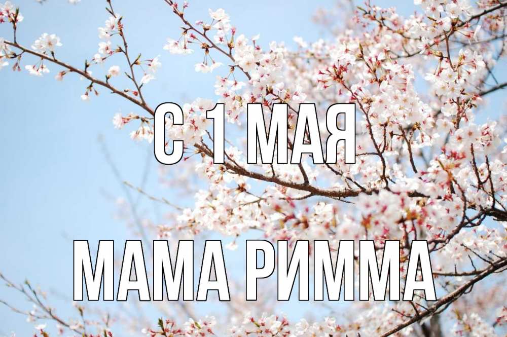 Открытка на каждый день с именем, Мама-Римма С 1 мая С 1 мая Прикольная открытка с пожеланием онлайн скачать бесплатно 