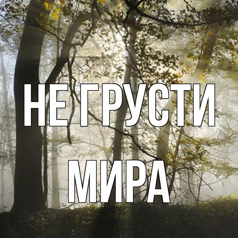 Открытка на каждый день с именем, Мира Не грусти лес и свет Прикольная открытка с пожеланием онлайн скачать бесплатно 