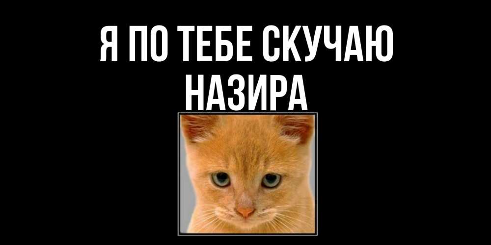 Открытка на каждый день с именем, Назира Я по тебе скучаю открытки рыжий котенок скучает по тебе Прикольная открытка с пожеланием онлайн скачать бесплатно 