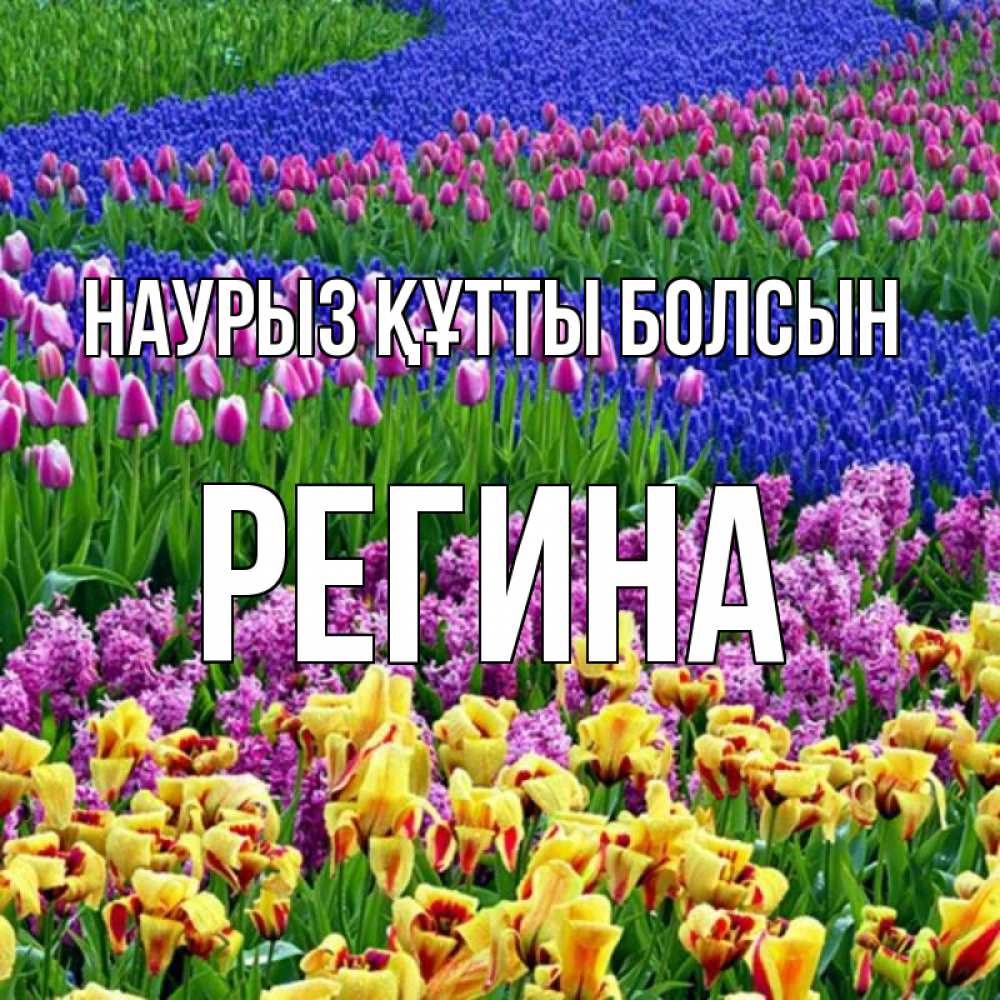 Открытка на каждый день с именем, Регина Наурыз құтты болсын цветы Прикольная открытка с пожеланием онлайн скачать бесплатно 