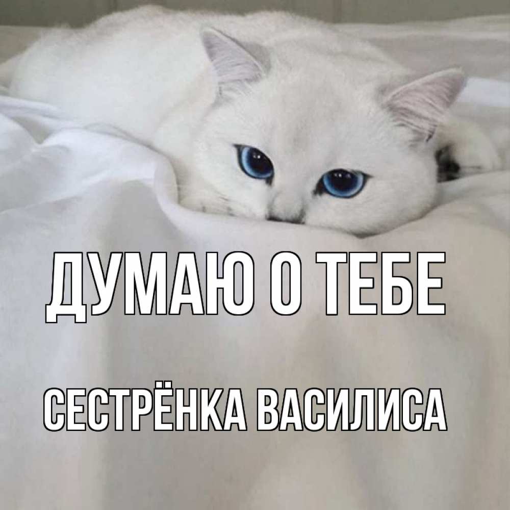 Открытка на каждый день с именем, Сестрёнка-Василиса Думаю о тебе я очень по тебе скучаю и тоскую Прикольная открытка с пожеланием онлайн скачать бесплатно 