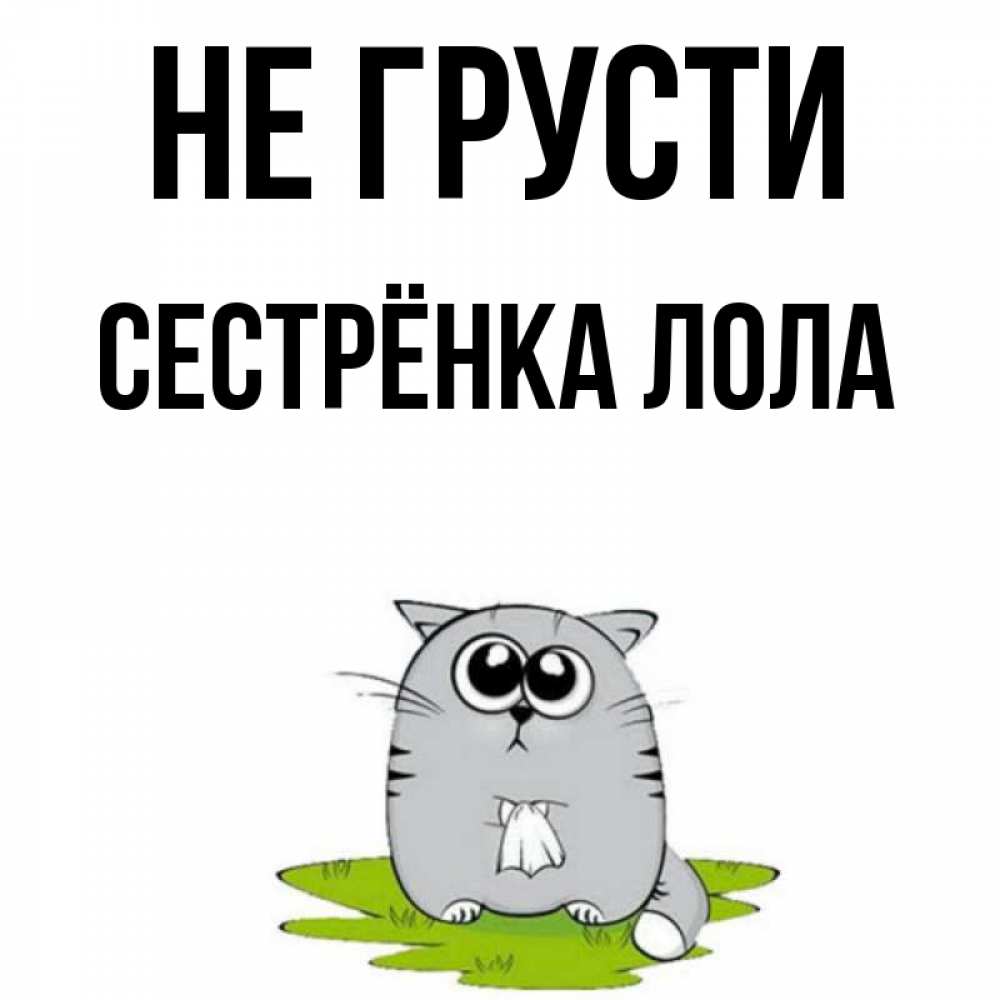 Открытка на каждый день с именем, Сестрёнка-Лола Не грусти грустный котяра Прикольная открытка с пожеланием онлайн скачать бесплатно 