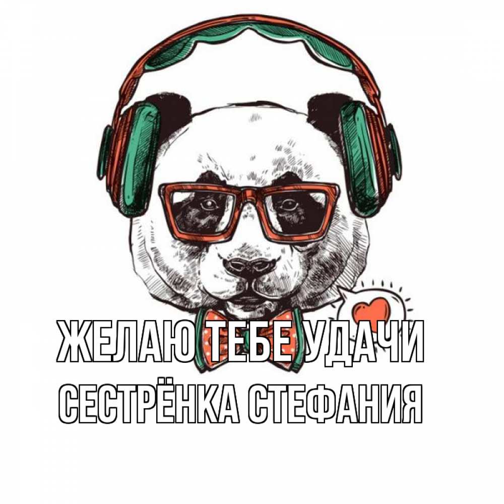 Открытка на каждый день с именем, Сестрёнка-Стефания Желаю тебе удачи деловой пес Прикольная открытка с пожеланием онлайн скачать бесплатно 