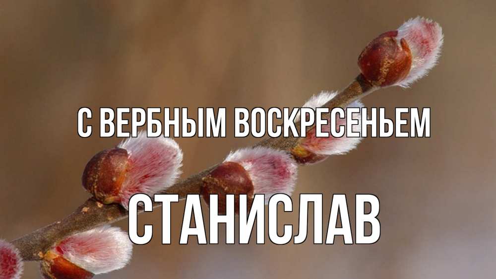 Открытка на каждый день с именем, Станислав С вербным воскресеньем верба Прикольная открытка с пожеланием онлайн скачать бесплатно 