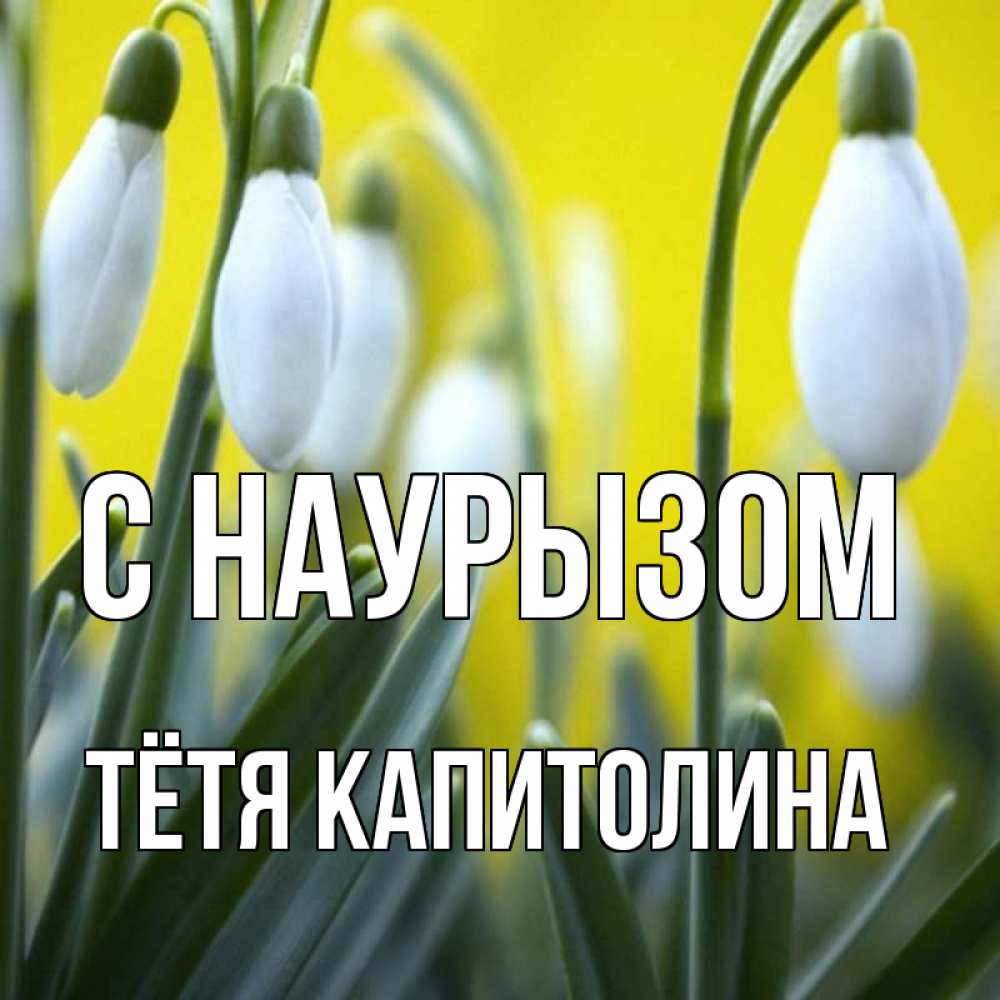 Открытка на каждый день с именем, Тётя-Капитолина С наурызом весенние цветы Прикольная открытка с пожеланием онлайн скачать бесплатно 