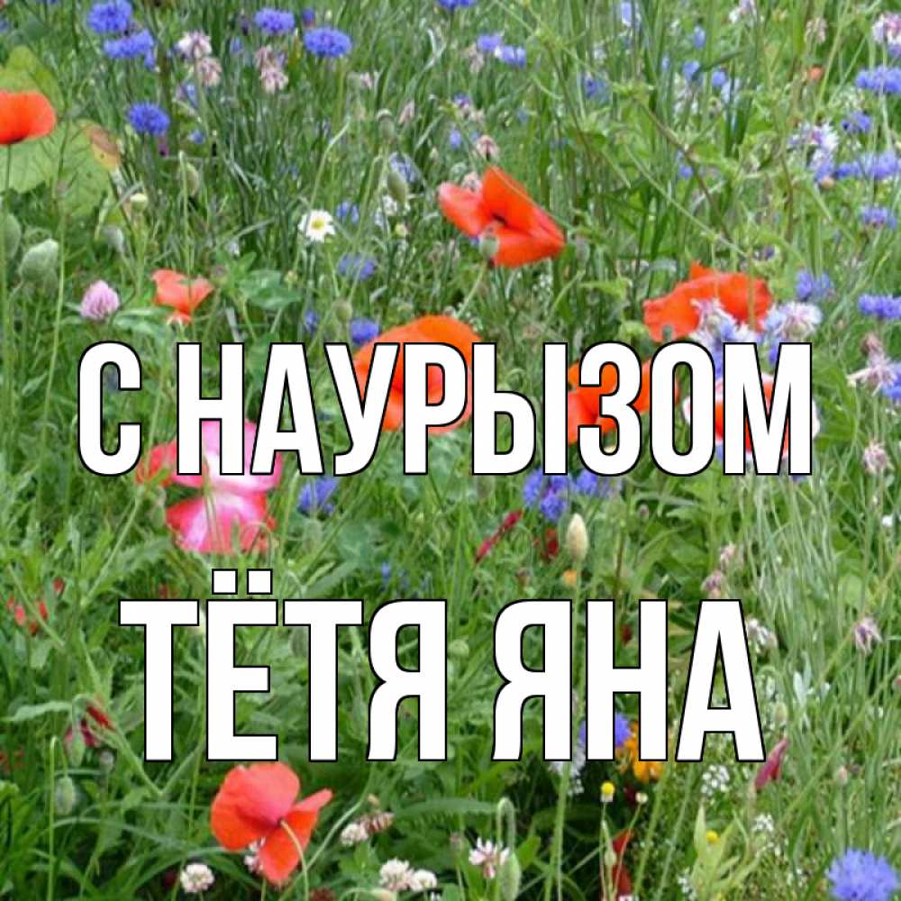 Открытка на каждый день с именем, Тётя-Яна С наурызом праздник весны наурыз супер открытка Прикольная открытка с пожеланием онлайн скачать бесплатно 