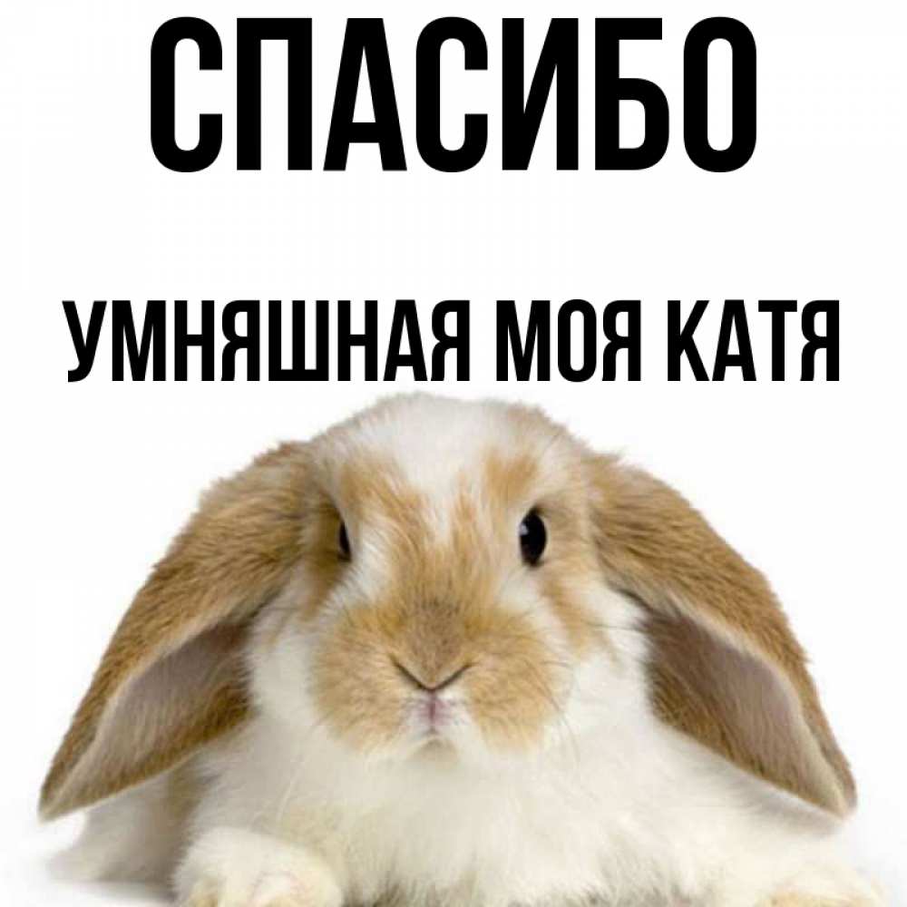 Хорошего дня катя