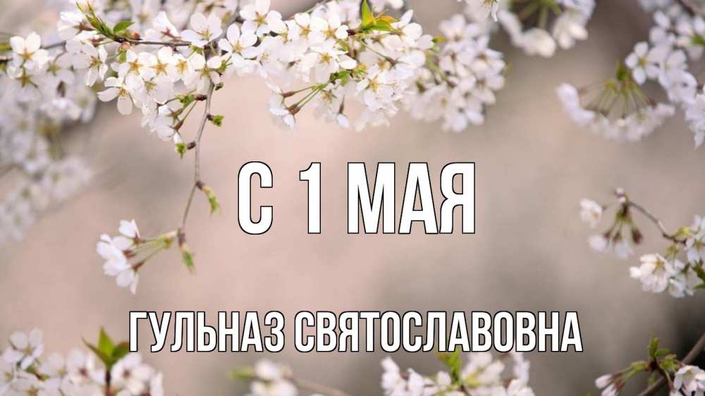 День обновления