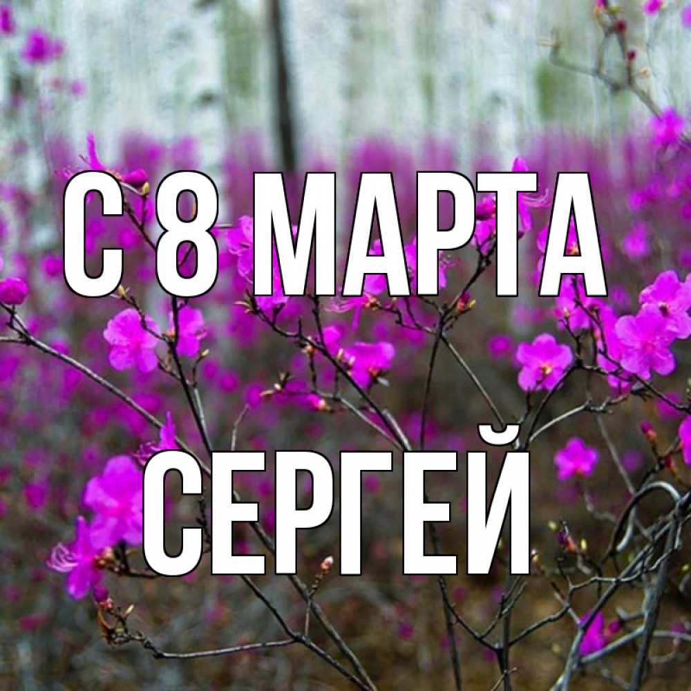 Открытка на каждый день с именем, Сергей С 8 марта дикие цветы Прикольная открытка с пожеланием онлайн скачать бесплатно 