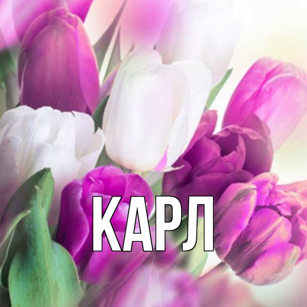 Лида имя картинки