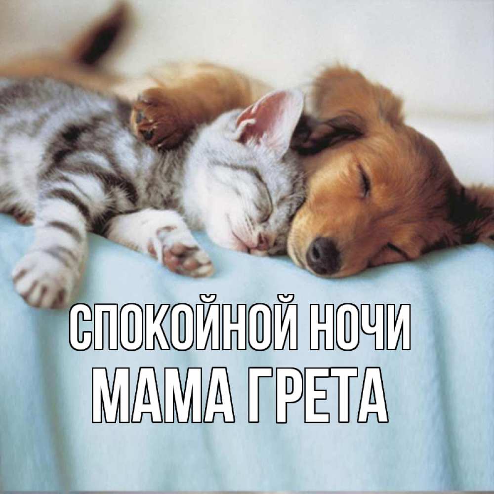 Открытка на каждый день с именем, Мама-Грета Спокойной ночи с животными Прикольная открытка с пожеланием онлайн скачать бесплатно 