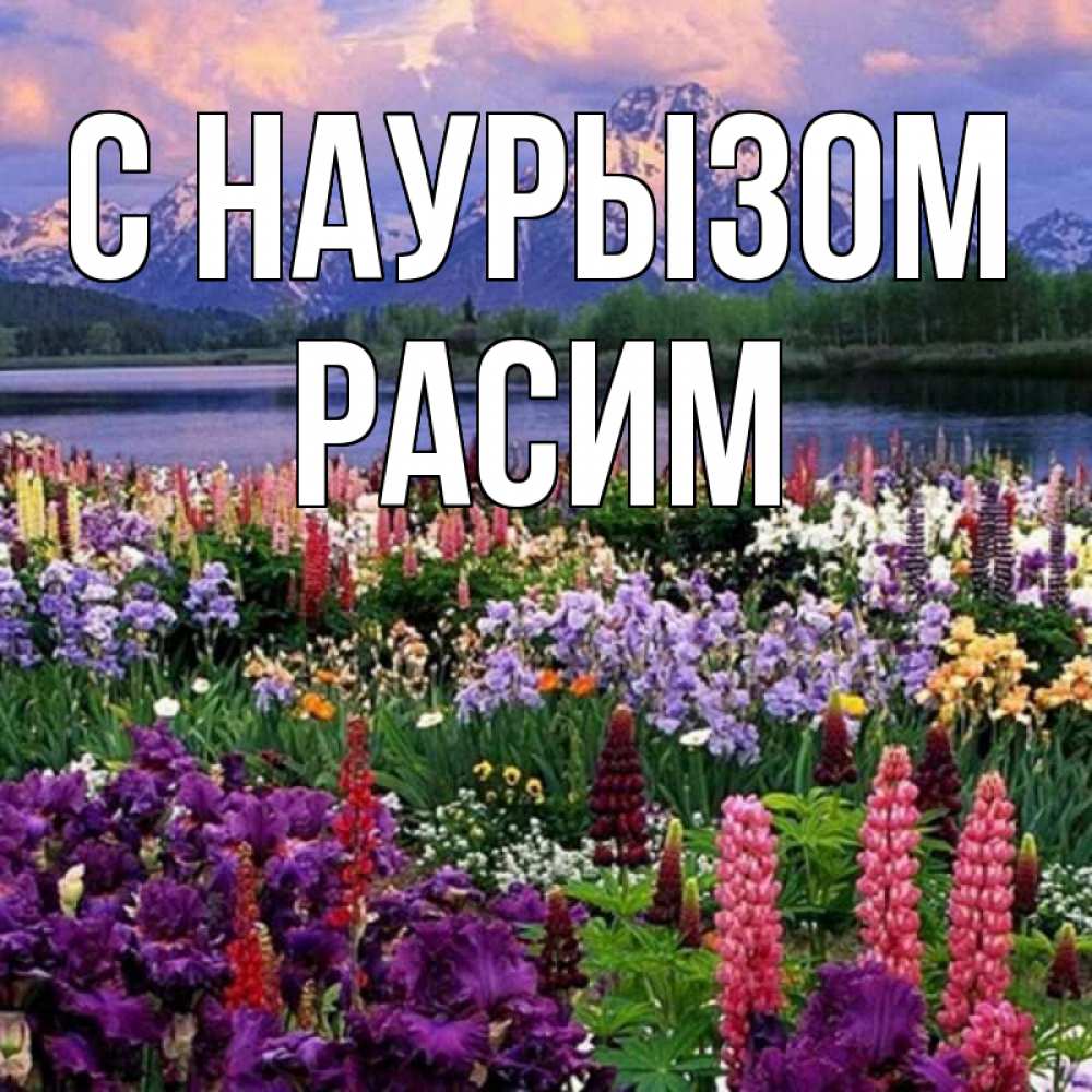 Открытка на каждый день с именем, Расим С наурызом праздник весны наурыз Прикольная открытка с пожеланием онлайн скачать бесплатно 