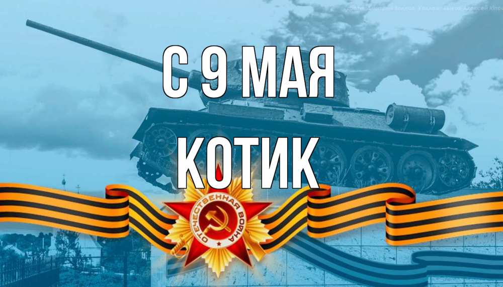 Картинка С 9 мая, котик