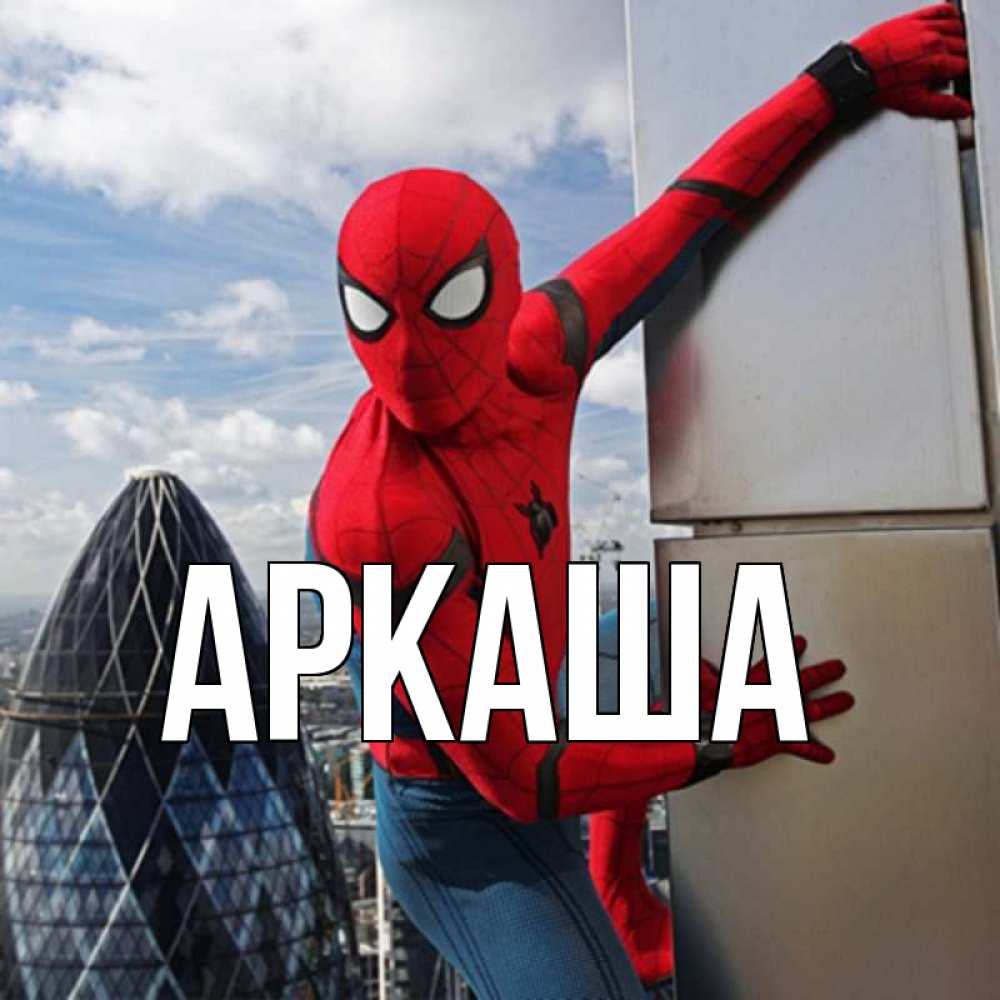 Паук Аркаша