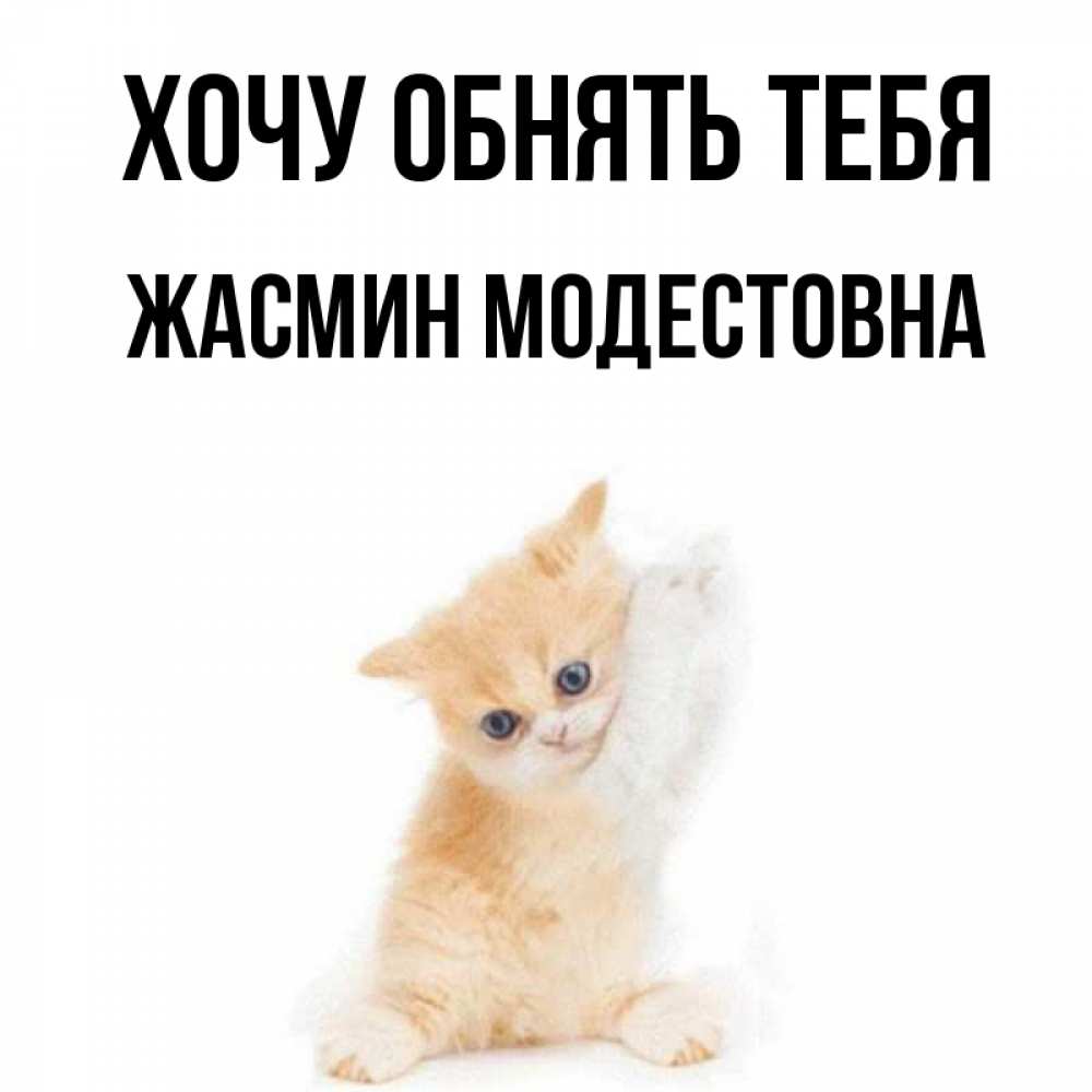 Картинка Хочу обнять тебя, Жасмин Модестовна