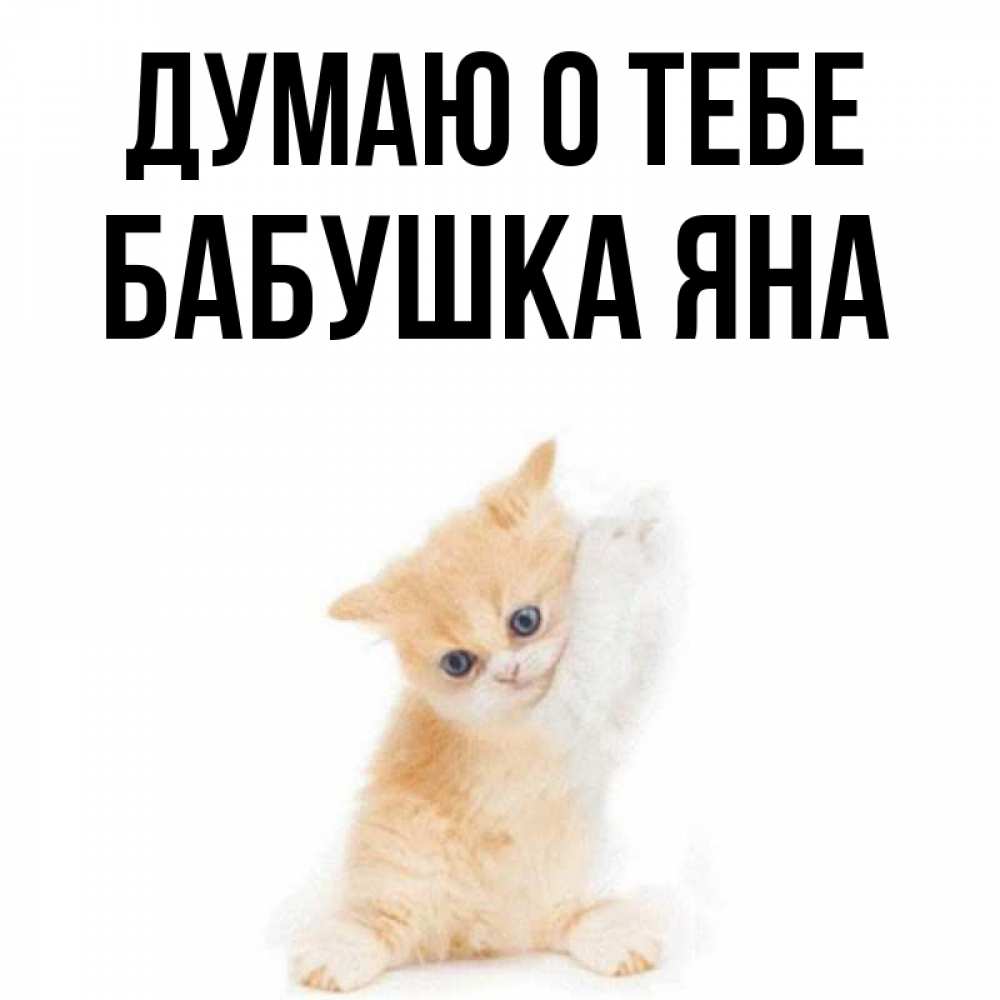 Открытка на каждый день с именем, Бабушка-Яна Думаю о тебе зверушки и милота Прикольная открытка с пожеланием онлайн скачать бесплатно 