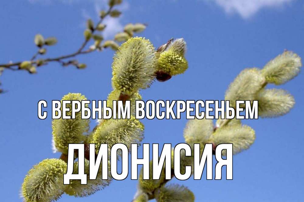 Открытка на каждый день с именем, Дионисия С вербным воскресеньем верба Прикольная открытка с пожеланием онлайн скачать бесплатно 